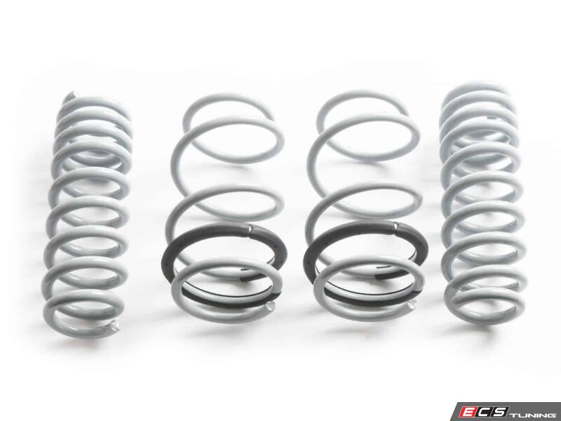 CTS - LS-018 - Lowering Spring Set
