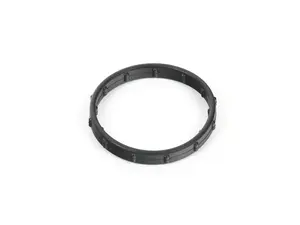 Coolant Pipe Sealing Ring - Priced each 