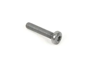 OVAL-HEAD SCREW 6 30