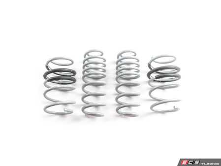 ES#5435527 - LS-027 - B9 SQ5 Lowering Springs - Lower your center of gravity and level up your SQ5s stance without compromising daily driveability. - CTS - Audi