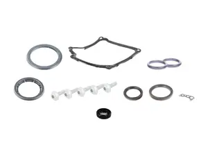 02E DQ250 Transmission Differential Seal & Bolt Fitting Kit