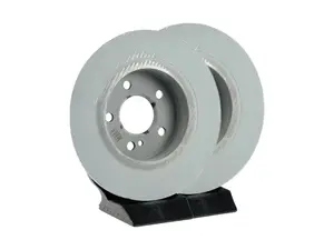 Rear Brake Rotors - Pair (295x10)