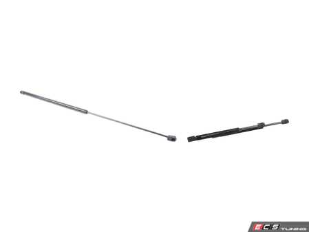 ES#3706602 - 4f0823359bKT - Hood & Trunk Strut Kit  - Keep the hood and trunk propped in place with new struts - Assembled By ECS - Audi