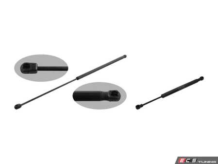 ES#3660822 - 8t0823359kt8KT - Hood & Trunk Strut Kit - Utilizes high quality aftermarket struts - Febi - Audi