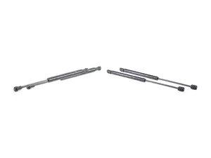 Hood And Trunk Strut Kit