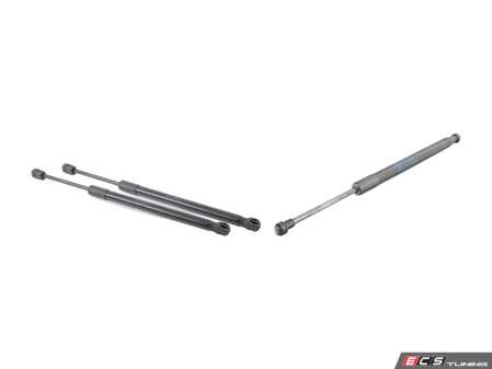 ES#2816737 - 51237225518kt - Hood And Trunk Strut Kit - Utilizes all genuine BMW components - Genuine BMW - BMW
