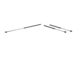 ES#2602141 - 3C5827550CKT1 - Hood And Trunk Strut Kit - Replace your worn and sagging support struts - Assembled By ECS - Volkswagen