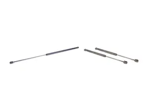 Hood And Trunk Strut Kit