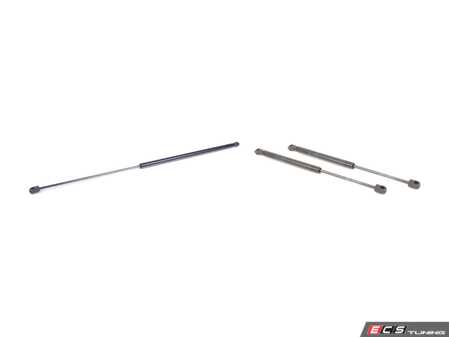 ES#2602141 - 3C5827550CKT1 - Hood And Trunk Strut Kit - Replace your worn and sagging support struts - Assembled By ECS - Volkswagen