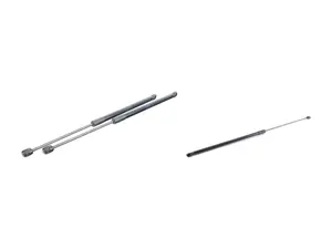 Hood And Hatch Strut Kit