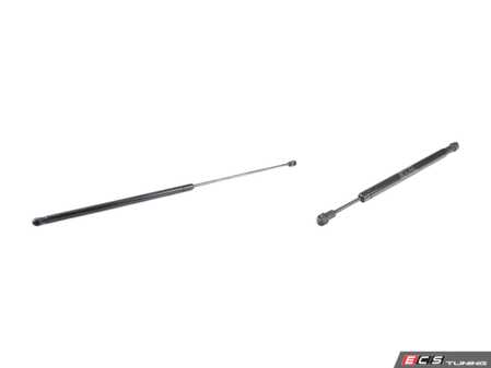 ES#3677988 - 8t0823359kt1KT - Hood & Trunk Strut Kit  - Utilizes high quality genuine struts - Stabilus - Audi