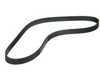 ES#205291 - 11281469262 - A/C Compressor Belt - Air conditioning belt - Continental - BMW