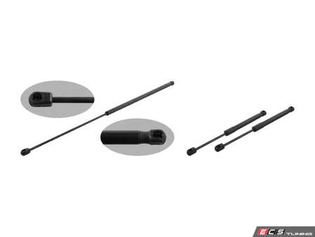 ES#3663748 - 8f0827550akt1KT - Hood & Trunk Strut Kit  - Utilizes high quality genuine struts - Febi - Audi
