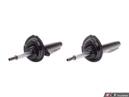 ES#2770934 - 31316750789/90KT - Front Strut Assembly - Pair  - Pair of left and right front struts  - Genuine BMW - BMW