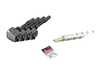 ES#4819354 - 12138643360eKT - Ignition Service Kit - Everything you need to service your ignition system including Eldor ignition coils and NGK spark plugs - Assembled By ECS - BMW