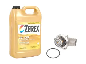 Thermostat Replacement Kit