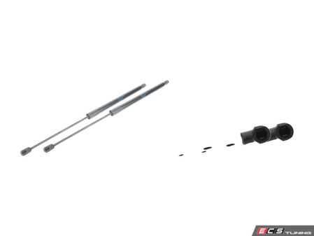 ES#3690286 - 8r0827552akt2KT - Hood & Hatch Strut Kit  - Keep the hood and hatch propped in place with new struts - Febi - Audi