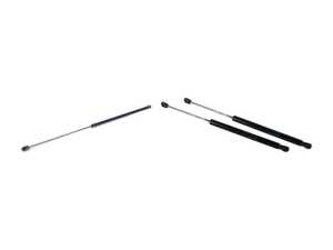 ES#3698731 - 4b9827552nkt1KT - Hood & Hatch Strut Kit  - Keep the hood and hatch propped in place with new struts - Assembled By ECS - Audi