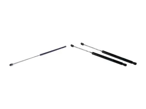 Hood & Hatch Strut Kit 