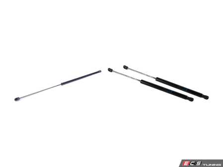 ES#3698731 - 4b9827552nkt1KT - Hood & Hatch Strut Kit  - Keep the hood and hatch propped in place with new struts - Assembled By ECS - Audi
