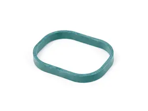 GASKET RING