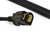 ES#4180478 - 12538664897 - Wiring Harness -  Engine Trans. Module - 4Wd - Genuine BMW - BMW