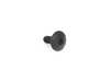 ES#2598930 - 07146986937 - TORX BOLT - Genuine BMW - BMW MINI