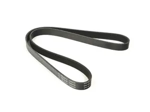 Accessory Drive Belt