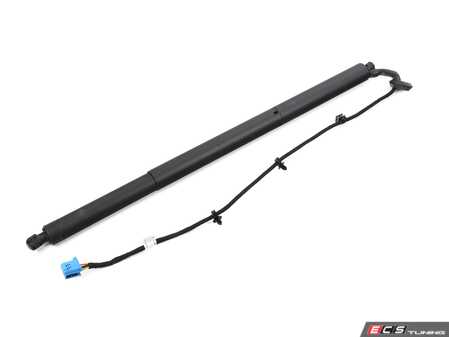 ES#4146305 - 2538902300 - Tail Gate Strut - Left - Left Side - Genuine Mercedes Benz - Mercedes Benz