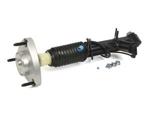 ES#4941036 - SK-3817 - Shock Absorber - Rear Left  - Arnott strut restores factory ride, comfort, damping, and self-leveling performance. - Arnott - BMW