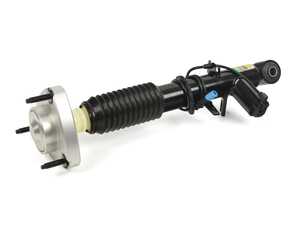 ES#4941035 - SK-3816 - Shock Absorber - Rear Right - Arnott strut restores factory ride, comfort, damping, and self-leveling performance. - Arnott - BMW