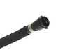 ES#4181481 - 17129894775 - Hose - Radiator - Genuine BMW - BMW
