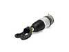 ES#5446253 - as-3057KT - Remanufactured Front Air Suspension Strut - Left - Front Axle, Left Side - Price includes a $260.00 refundable core charge. - Arnott - Porsche