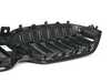 ES#4563663 - 51115A1BFA9 - FRONT ORNAMENTAL GRILLE - Genuine BMW - BMW