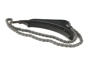 Timing Chain & Guide Rail