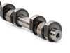 ES#2136413 - 11377591483 - Eccentric Shaft - Part of the head and timing - Genuine MINI - MINI