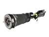 ES#3676225 - AS-2764 - E53 Front Air Suspension Strut - Right - Front Axle, Right Side - Arnott - BMW