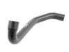 ES#4861469 - 2025012282 - Radiator Hose - Lower - Vaico - Mercedes Benz