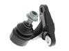 ES#4862435 - 31126756695 - BMW | Ball Joint - Vaico - BMW