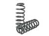 ES#4691196 - VWR31F020 - RacingLine Sport Spring Set - Lower and optimize your Tiguan's suspension! Average lowering of 1.77" front & rear. - Racingline - Volkswagen