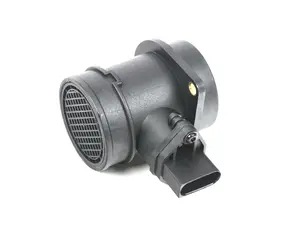 Mass Air Flow Sensor (MAF)