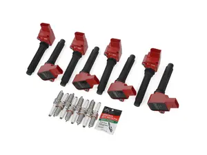 4.0T Performance Ignition Service Kit