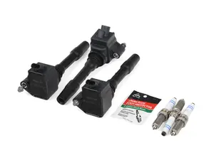 Ignition Service Kit