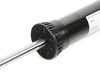 ES#4183729 - 33526879315 - Spring Strut -  Rear - Genuine BMW - BMW