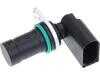 ES#5456396 - 12141709616 - Engine Crankshaft Position Center - A critical solution for BMW owners facing erratic engine behavior or the dreaded "Check Engine" light. - URO - BMW