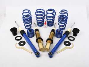 ES#5447365 - S1AU007sd1 - Solo-Werks S1 Coilovers *Scratch And Dent* - Set your vehicle low and tight for optimal performance - Scratch & Dent - Audi
