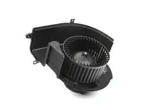 Blower Motor