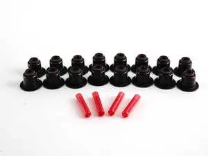 Valve Seals