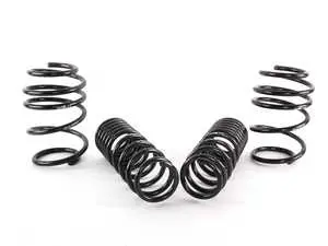 E60 M5 Sport Spring Set