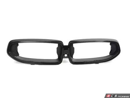 ES#4457675 - 51138098225 - FRONT ORNAMENTAL GRILLE BLAC - Genuine BMW - BMW